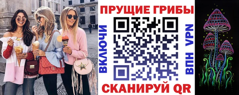 Псилоцибиновые грибы Psilocybe  Купить где  Чита