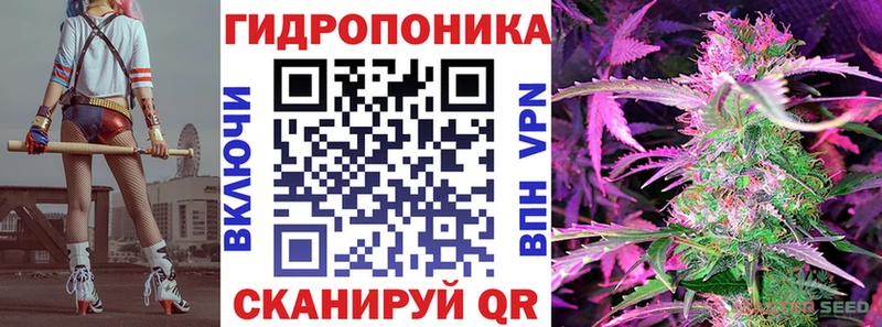 Бошки Шишки семена  Купить где  Чита 